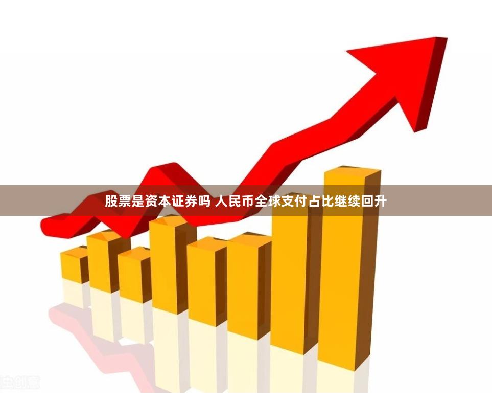 股票是资本证券吗 人民币全球支付占比继续回升