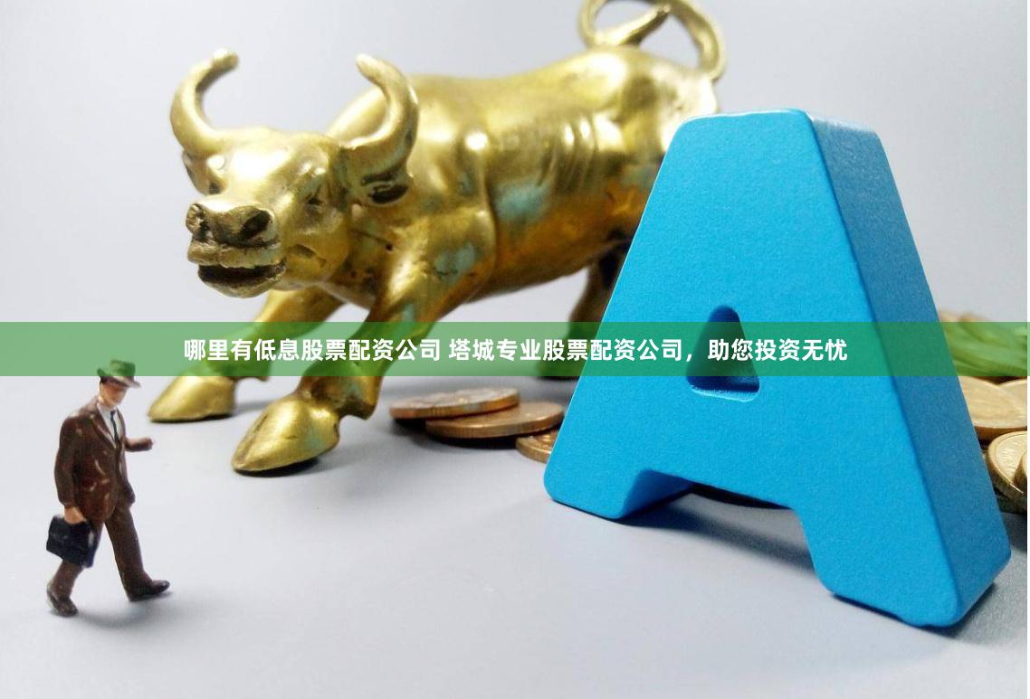 哪里有低息股票配资公司 塔城专业股票配资公司，助您投资无忧