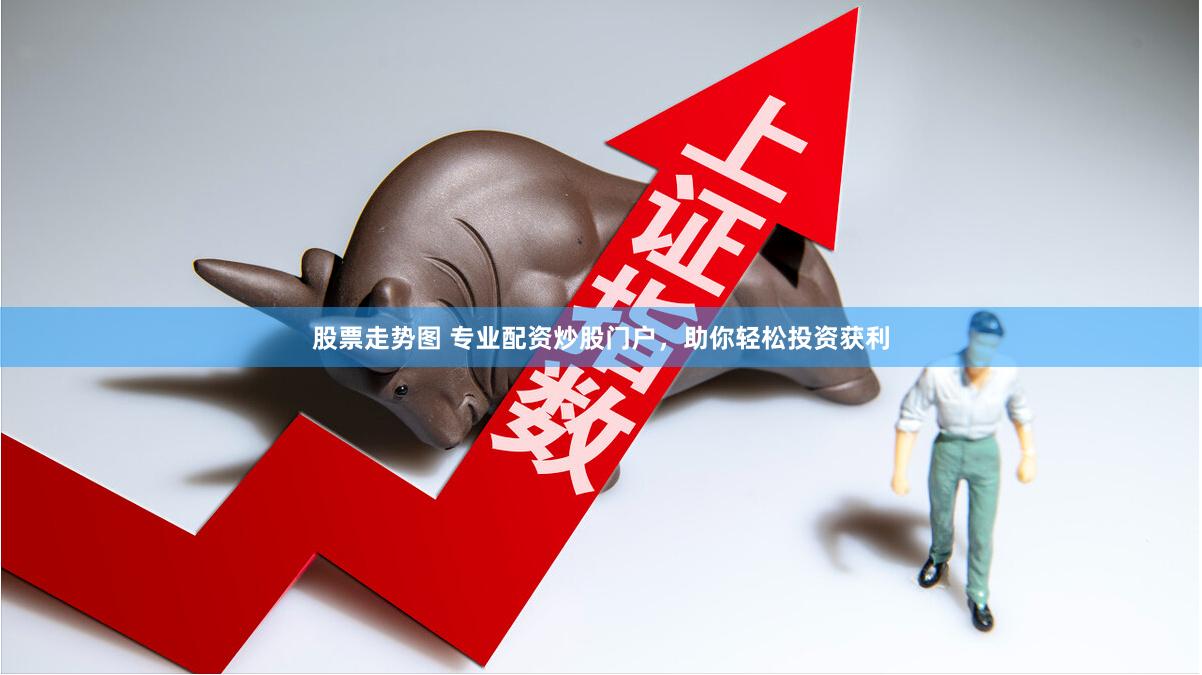 股票走势图 专业配资炒股门户，助你轻松投资获利