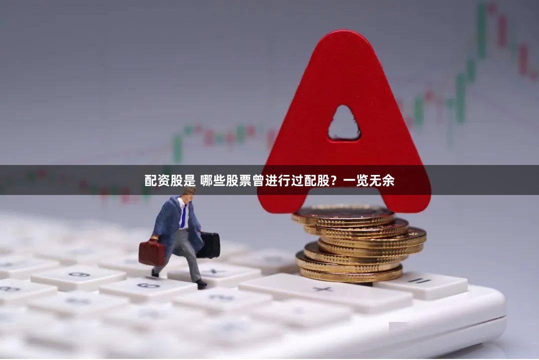 配资股是 哪些股票曾进行过配股？一览无余