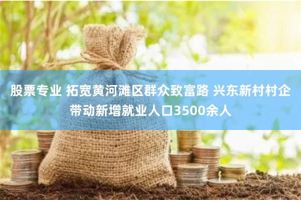 股票专业 拓宽黄河滩区群众致富路 兴东新村村企带动新增就业人口3500余人