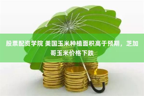 股票配资学院 美国玉米种植面积高于预期，芝加哥玉米价格下跌