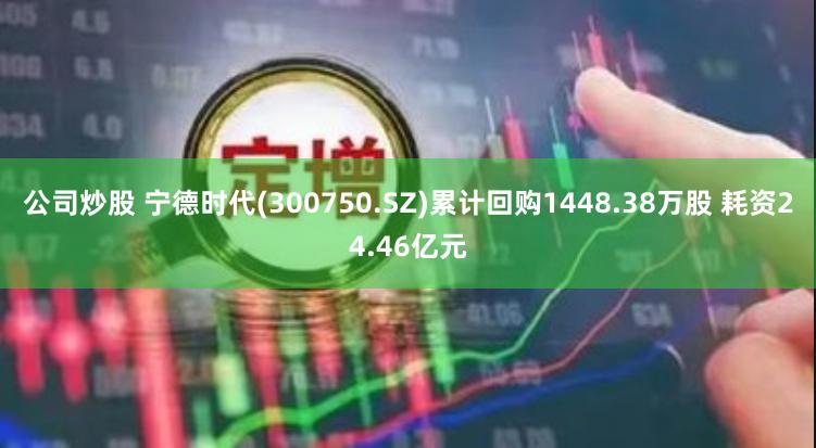 公司炒股 宁德时代(300750.SZ)累计回购1448.38万股 耗资24.46亿元