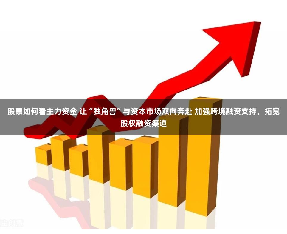 股票如何看主力资金 让“独角兽”与资本市场双向奔赴 加强跨境融资支持，拓宽股权融资渠道