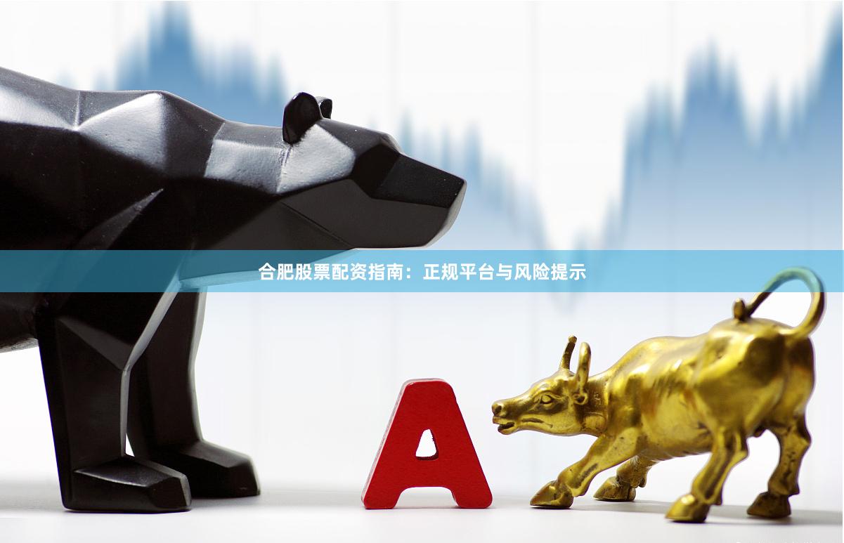 合肥股票配资指南：正规平台与风险提示