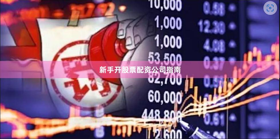 新手开股票配资公司指南